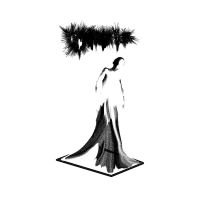 Cryptae - Vestigial