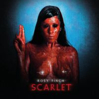 Rosy Finch - Scarlet