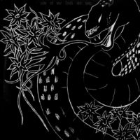 Stoner Kebab - Imber Vulgi