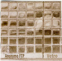 Anonimo FTP - Vetro