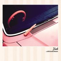 Fiub - Ciubirismeicheuan