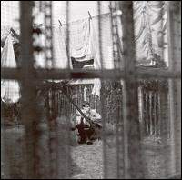 Paul McCartney - Chaos And Creation In The Back Yard