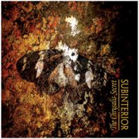 Subinterior - The Chrysalis Secret